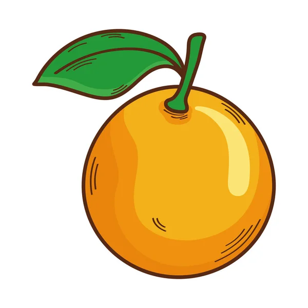 Orange Citric Fresh Fruit Icon — Vettoriale Stock