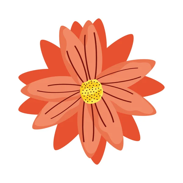 Orange Flower Garden Decoration Nature Icon — Stock vektor