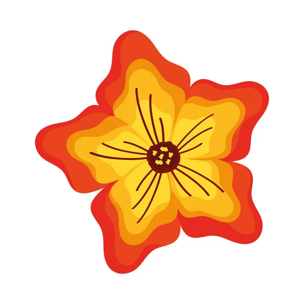 Orange Flower Garden Decoration Nature Icon — Vector de stock