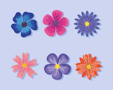 6 çiçek bahçesi simgesi