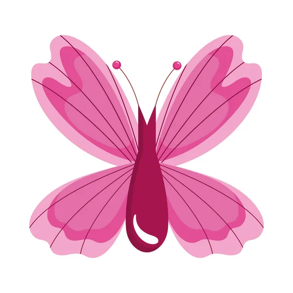 Pink Butterfly Insect Animal Icon — Stock Vector