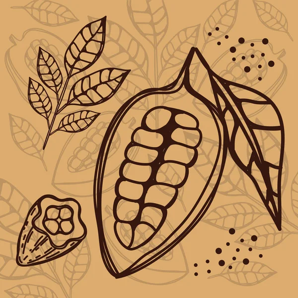 Cocoa Leafs Fruits Sketch — 图库矢量图片