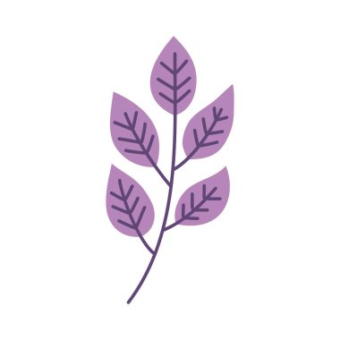branch with purple leafs foliage