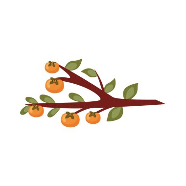 branch with oranges fruits icon