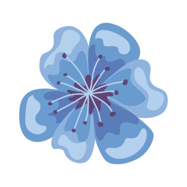 blue flower garden decoration nature