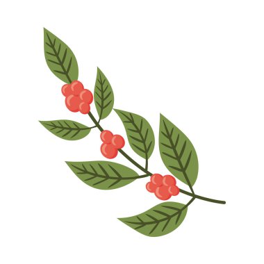 coffee branch with seeds icon