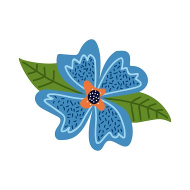 blue flower garden decoration nature