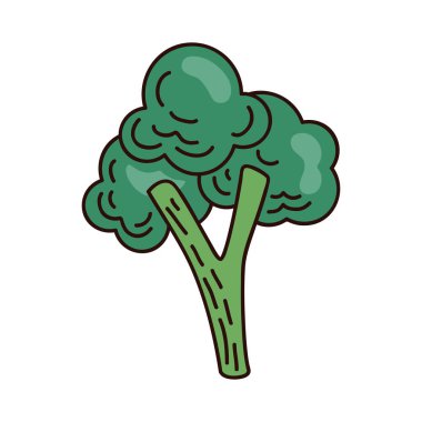 brokoli taze sebze sağlıklı ikon
