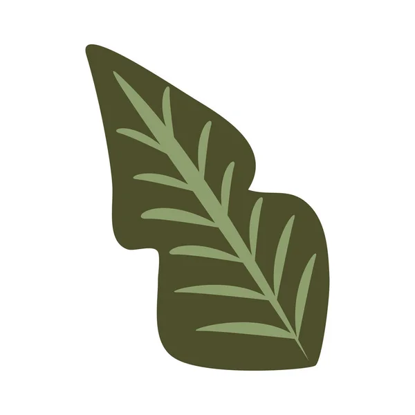 Leaf Plant Foliage Nature Icon — Wektor stockowy