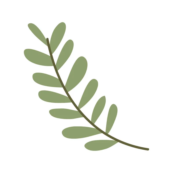 Branch Leafs Foliage Nature Icon — Stock Vector
