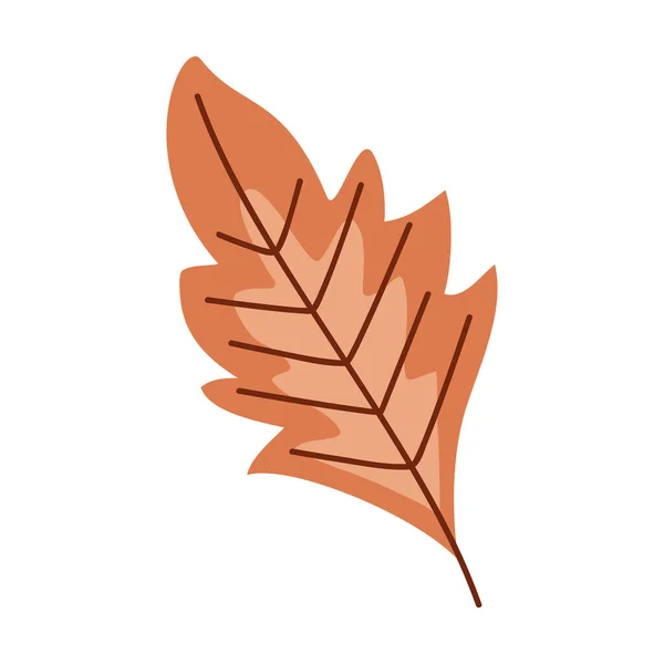 Autumn Leaf Dry Seasonal Icon — Archivo Imágenes Vectoriales