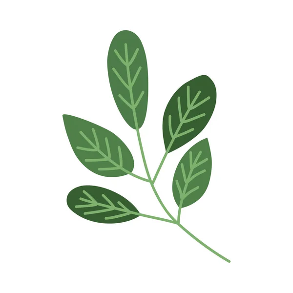 Green Leafs Branch Foliage Icon — 图库矢量图片