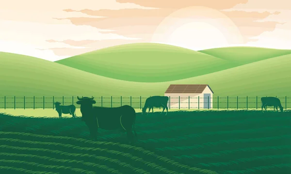 Rural Landscape Cows Scene — Image vectorielle
