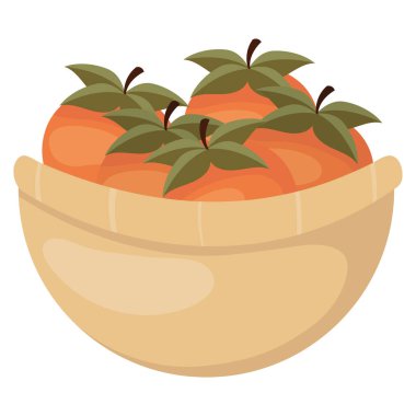 bowl with oranges fruits icon