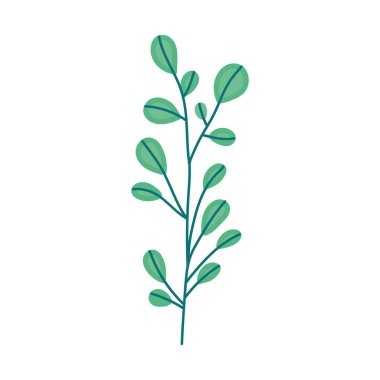 Yaprak bitki simgesi olan dal