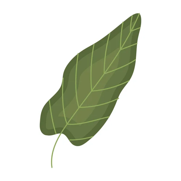 나뭇잎 나뭇잎 나뭇잎 자연의 아이콘 — 스톡 벡터