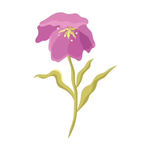 Фиолетовый Цветок Украшения Природы — стоковый вектор