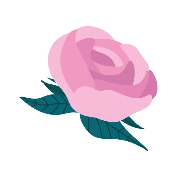 Ροζ Τριαντάφυλλο Λουλούδι Διακόσμηση Κήπο Φύση — Διανυσματικό Αρχείο