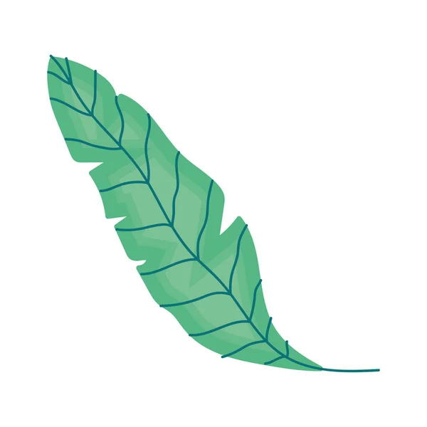 Leaf Plant Palm Foliage Nature Icon — Stockový vektor