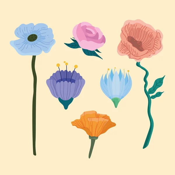 Шесть Весенних Цветов Установить Иконы — стоковый вектор