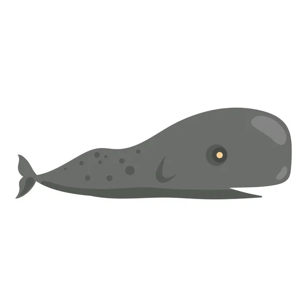 Cachalot Whale Animal Sealife Character — Stockvector