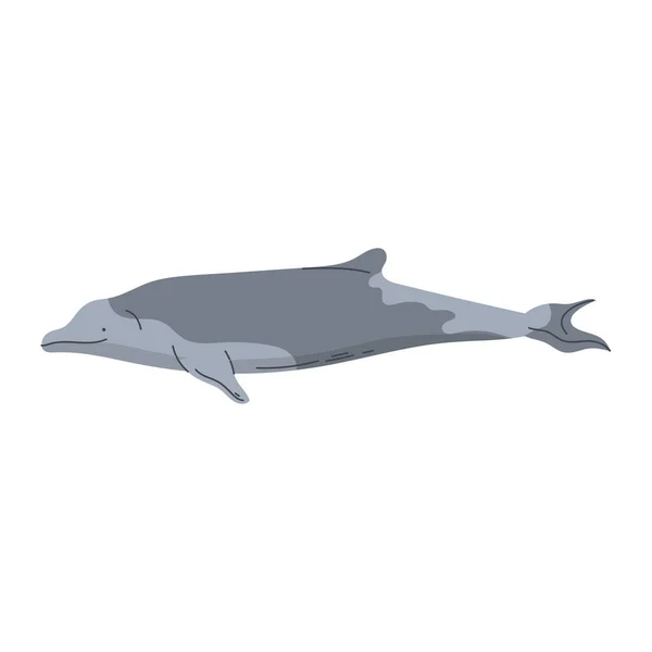 Bottlenose Whale Animal Sealife Character — Stok Vektör