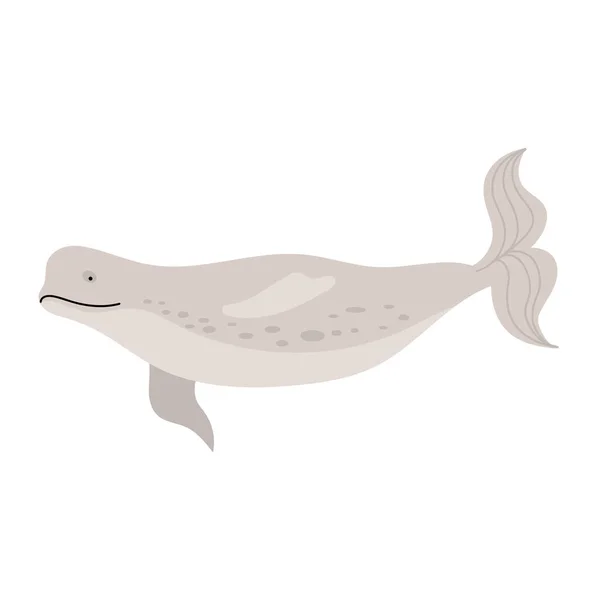 Beluga Whale Animal Sealife Character — Archivo Imágenes Vectoriales
