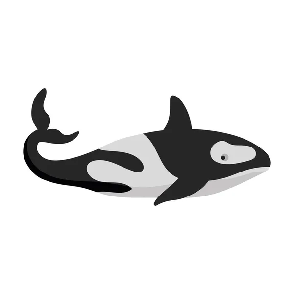 Killer Whale Animal Sealife Character — 스톡 벡터