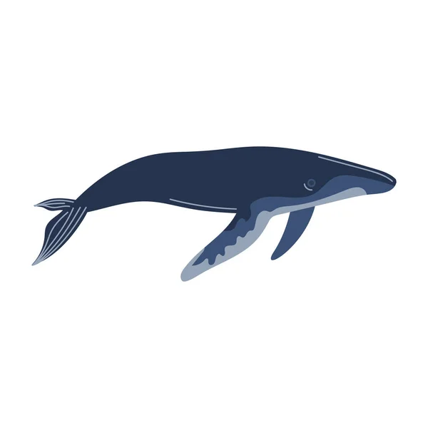 Blue Whale Animal Sealife Character — Vettoriale Stock