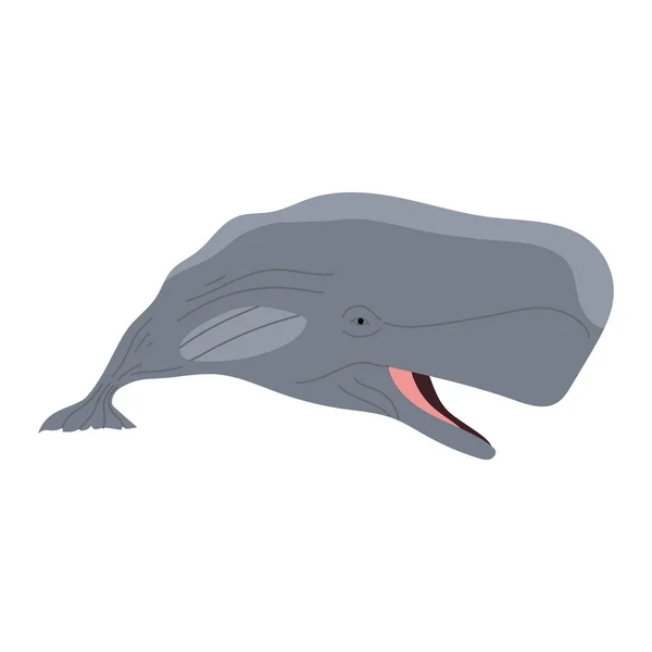 Sperm Whale Animal Sealife Character — 스톡 벡터