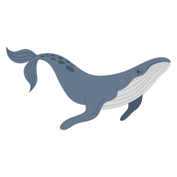 Whale Humpback Animal Sealife Character — 图库矢量图片