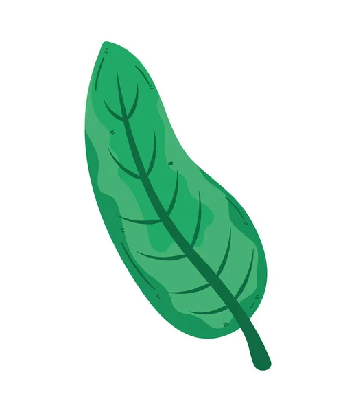 Green Leaf Plant Foliage Nature Icon — стоковый вектор