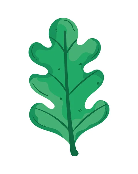 Botanical Leaf Plant Foliage Nature Icon — Stock Vector