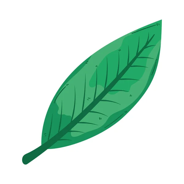 Classic Leaf Plant Foliage Nature Icon — Vettoriale Stock