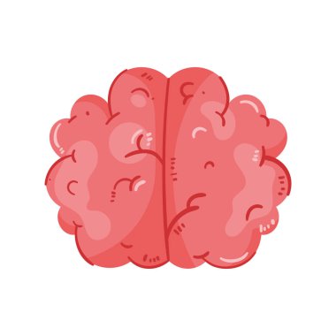 brain human organ isolaed icon
