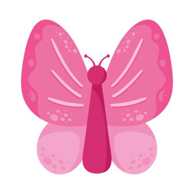 pink butterfly insect animal icon