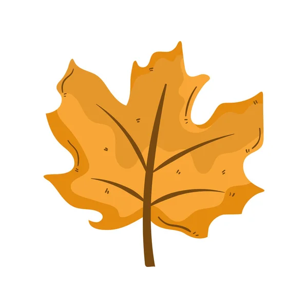 Mapple Autumn Leaf Plant Icon — ストックベクタ