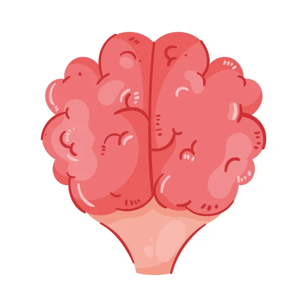 Brain Human Organ Healthy Icon —  Vetores de Stock