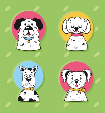 four dogs in green background poster