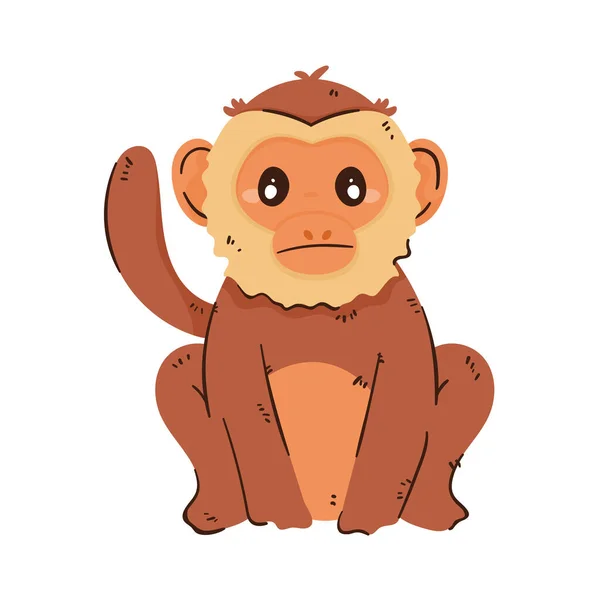 Tamarin Monkey Seated Animal Character — Image vectorielle