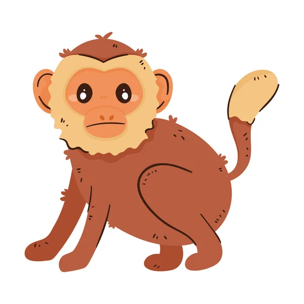 Tamarin Monkey Animal Wild Character — Stok Vektör