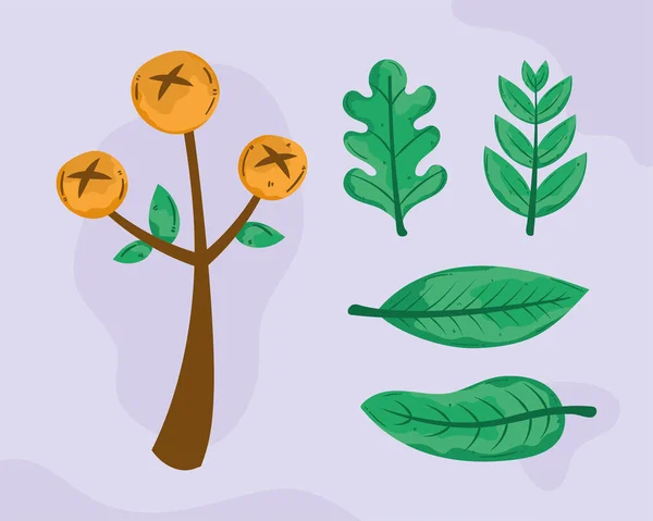 Five Nature Botanical Set Icons — Stok Vektör