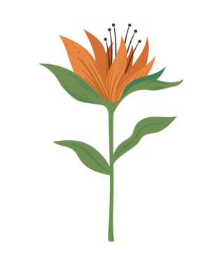 exotic flower orange color icon