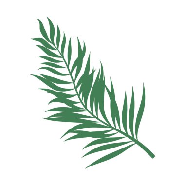 palm leaf plant nature icon
