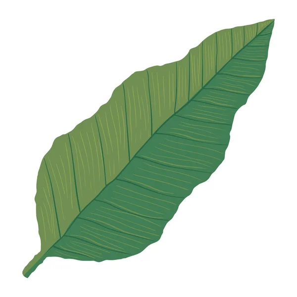 Exotic Leaf Palm Foliage Icon — Vetor de Stock