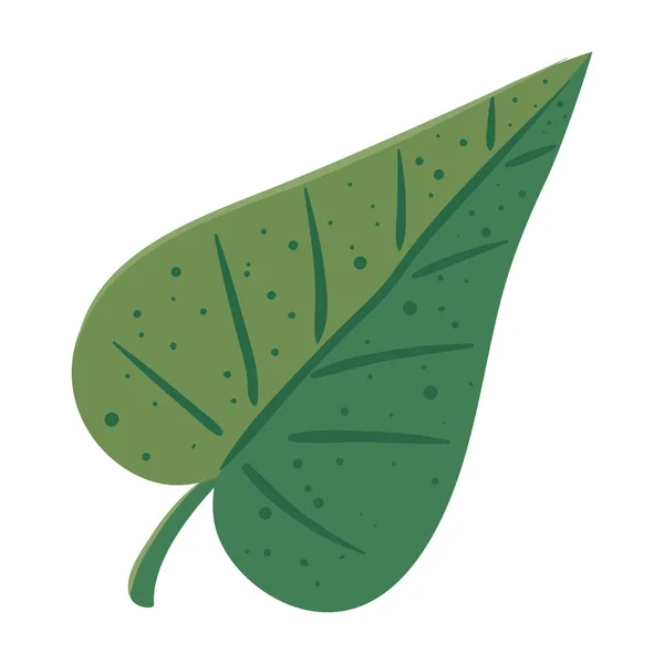 Leaf Jungle Foliage Nature Icon — ストックベクタ