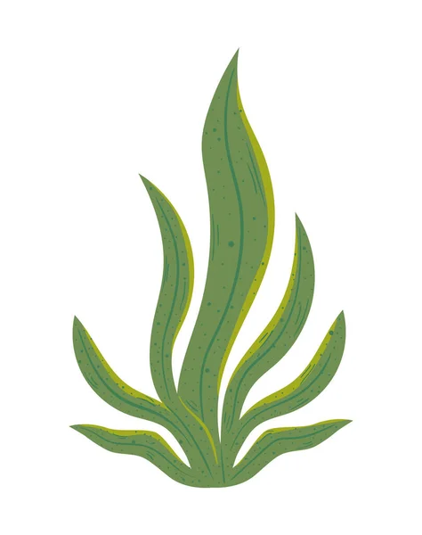 Tropical Exotic Leaf Foliage — Stockvektor