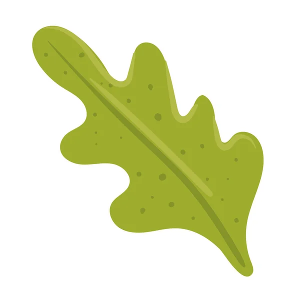 Leaf Coriander Vegetable Healthy Icon — Vettoriale Stock