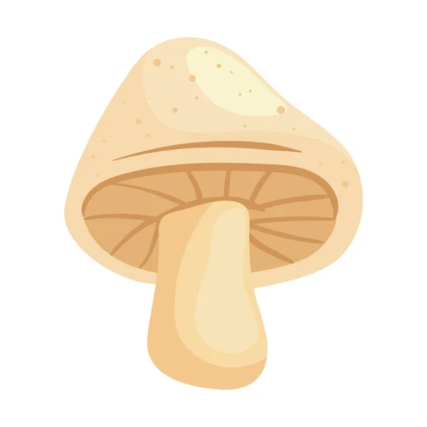 Fresh Mushroom Healthy Vegetable Icon —  Vetores de Stock