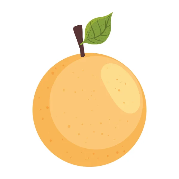 Svěží Oranžová Ikona Citrusových Plodů — Stockový vektor